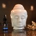 Pure Blueberry Essential Oil - 15ml